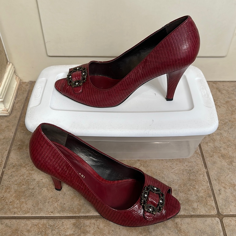 Antonio Melani burgundy pumps